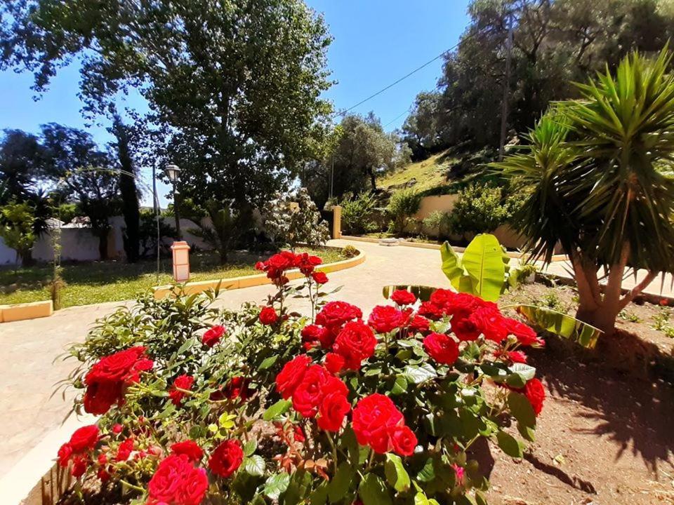 Villa Silvia Ágios Matthaíos Екстериор снимка